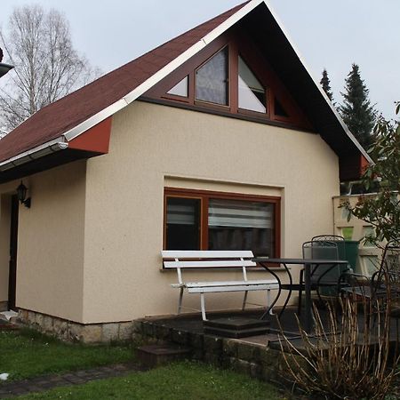 Ferienhaus Dani Bad Gottleuba-Berggiesshuebel Экстерьер фото